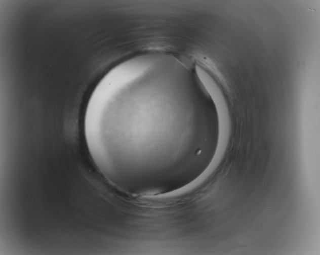 X0000088740531200706282146