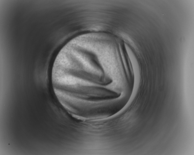X0000088740532200706282146