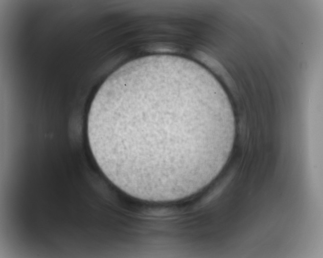 X0000088740533200706282146
