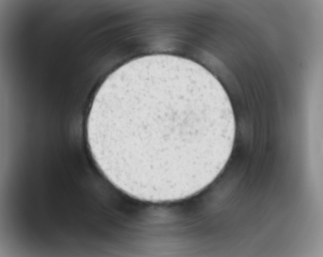 X0000088740534200706282146