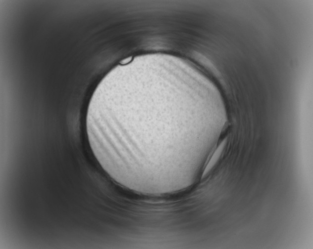X0000088740535200706282146