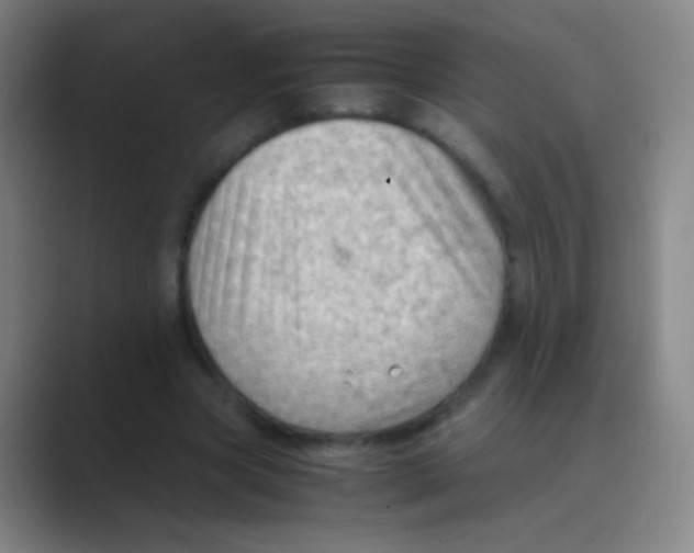 X0000088740537200706282146