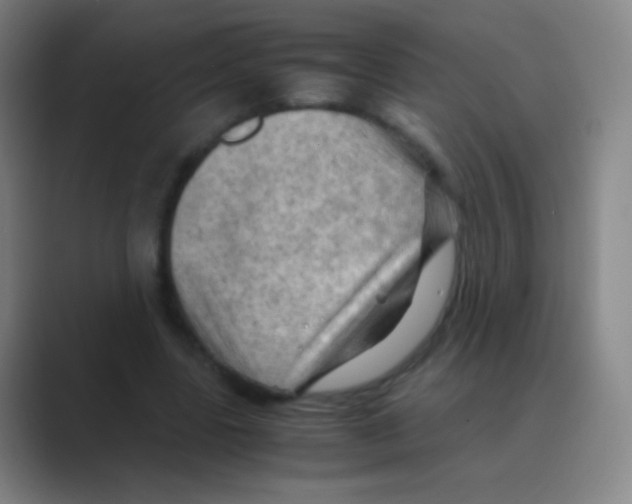 X0000088740539200706282146