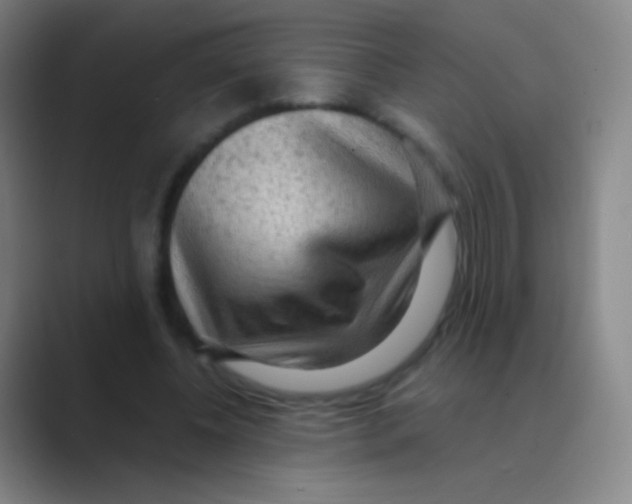 X0000088740540200706282146
