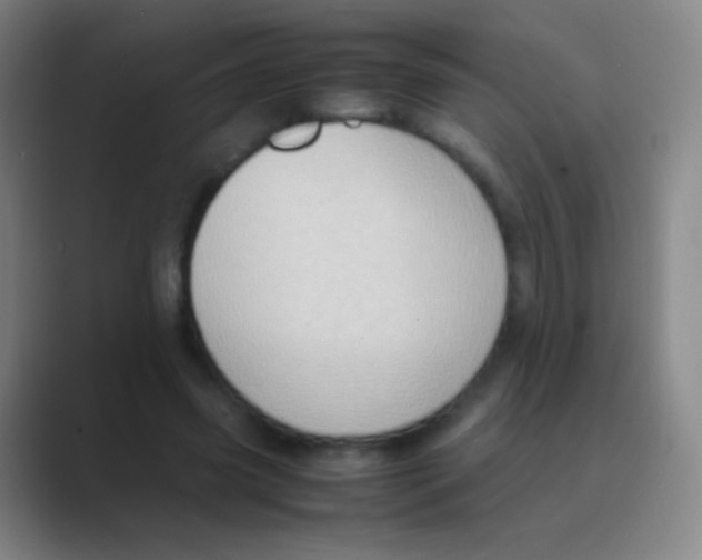 X0000088740541200706282146