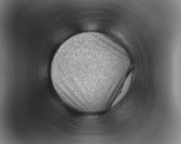 X0000088740543200706282146