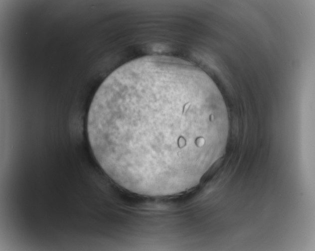 X0000088740545200706282146