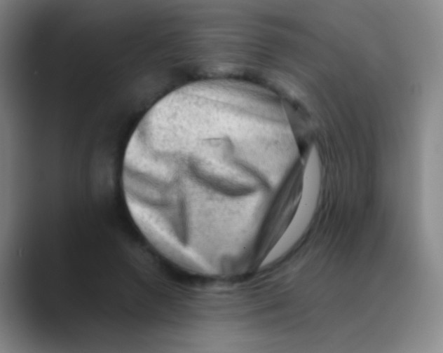 X0000088740546200706282146