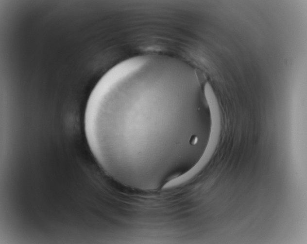 X0000088740547200706282146
