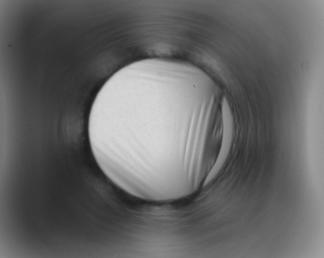 X0000088740548200706282146