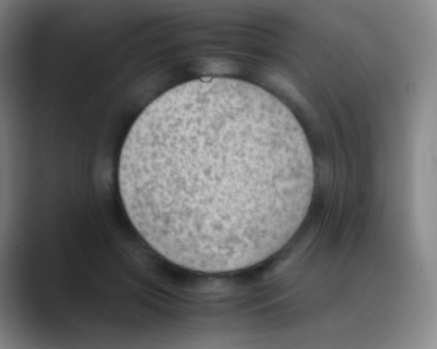 X0000088740549200706282146