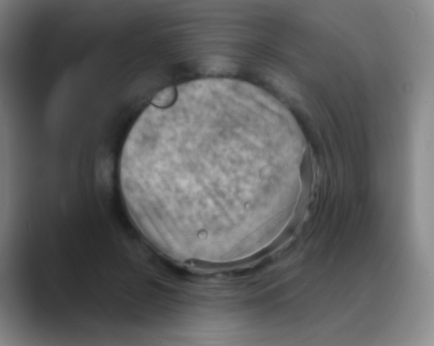 X0000088740550200706282146