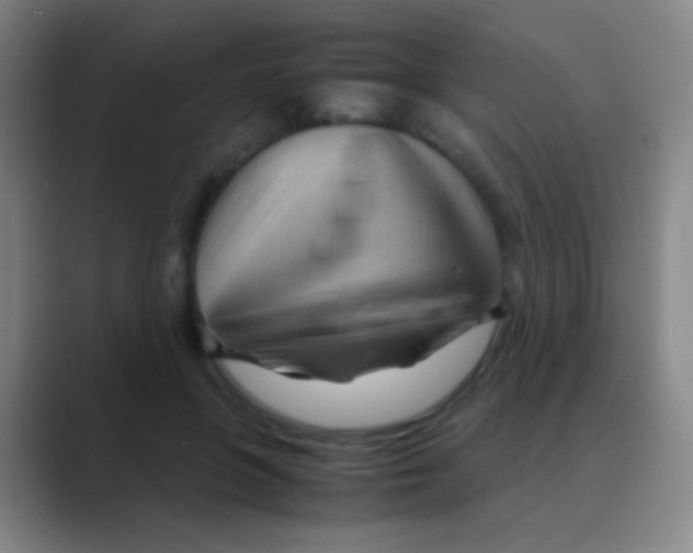 X0000088740551200706282146