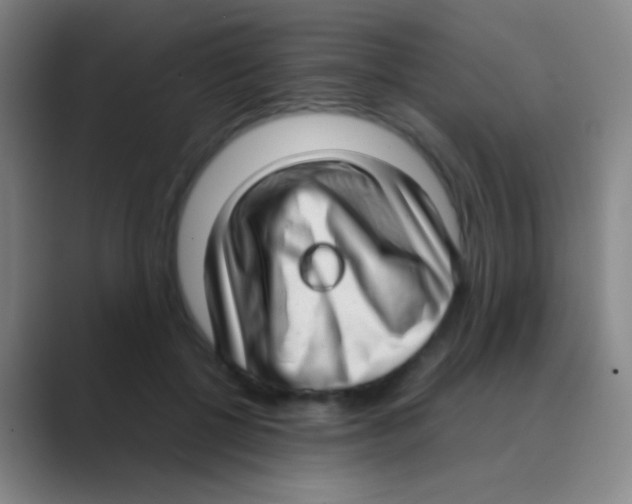 X0000088740552200706282146