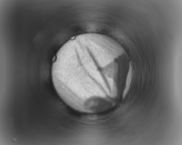 X0000088740554200706282146