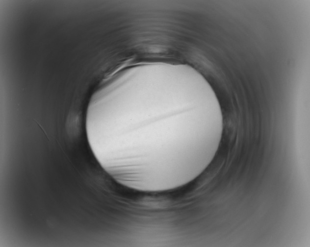 X0000088740556200706282146