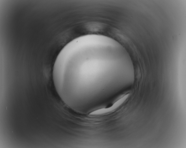 X0000088740559200706282146