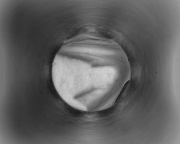 X0000088740560200706282146