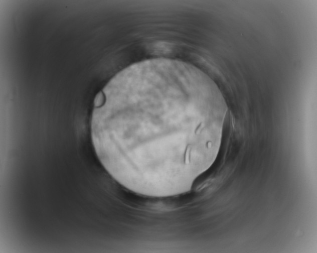 X0000088740561200706282146
