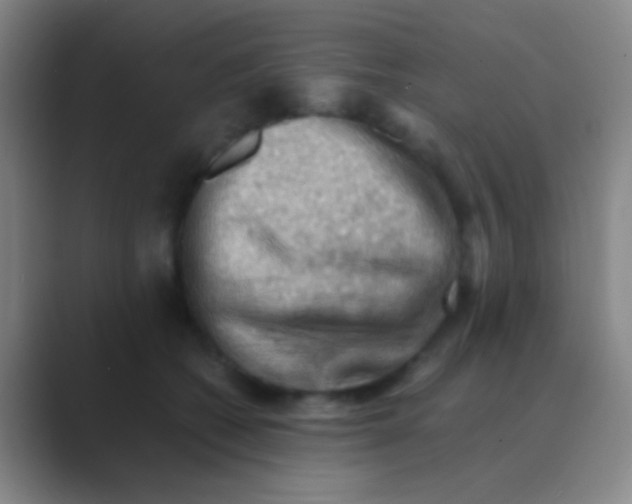 X0000088740562200706282146