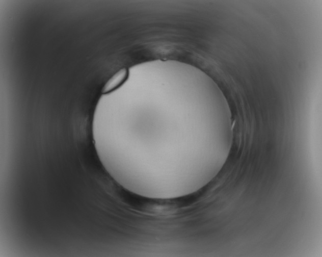 X0000088740563200706282146