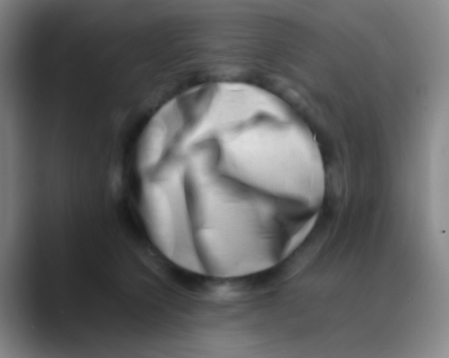 X0000088740564200706282146