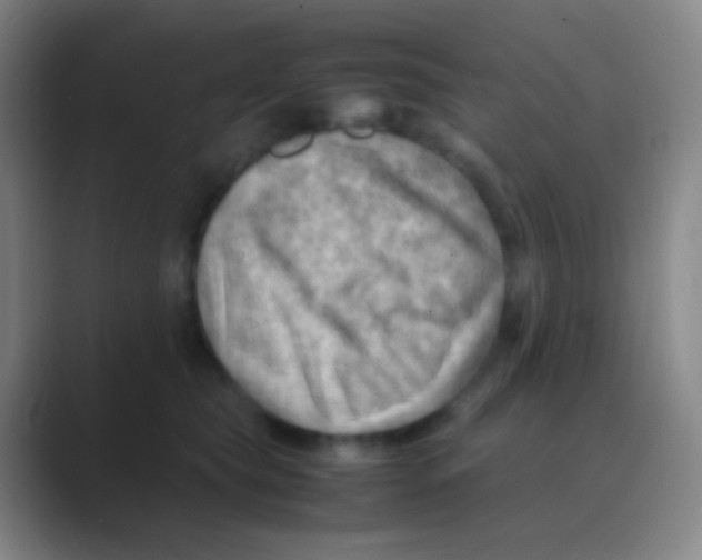 X0000088740565200706282146