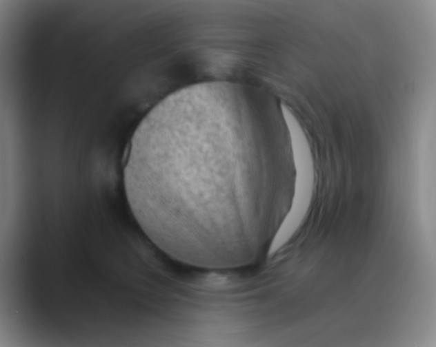 X0000088740566200706282146