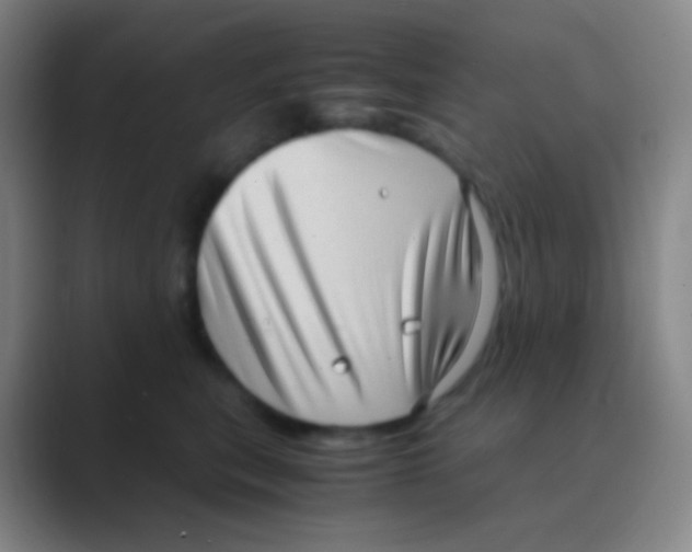 X0000088740567200706282147