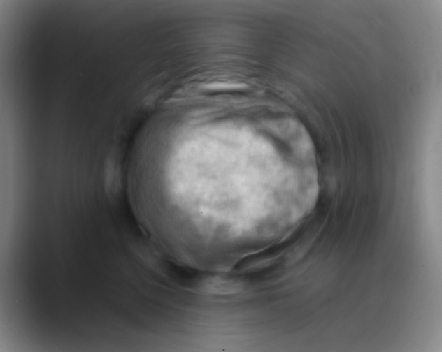 X0000088740568200706282147