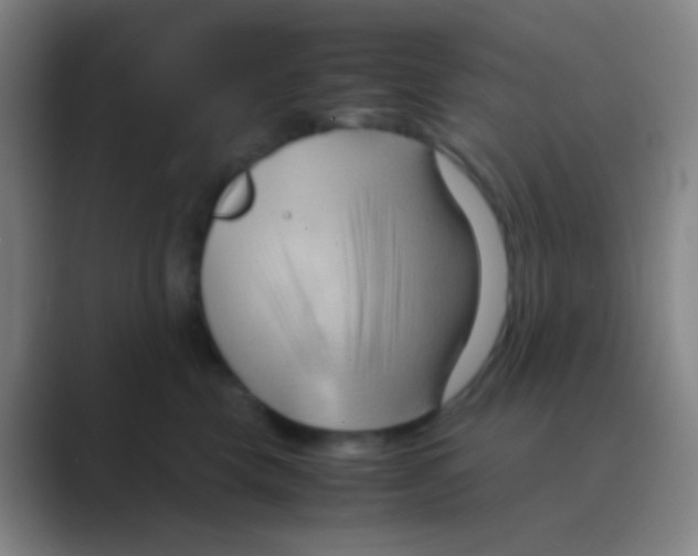 X0000088740569200706282147