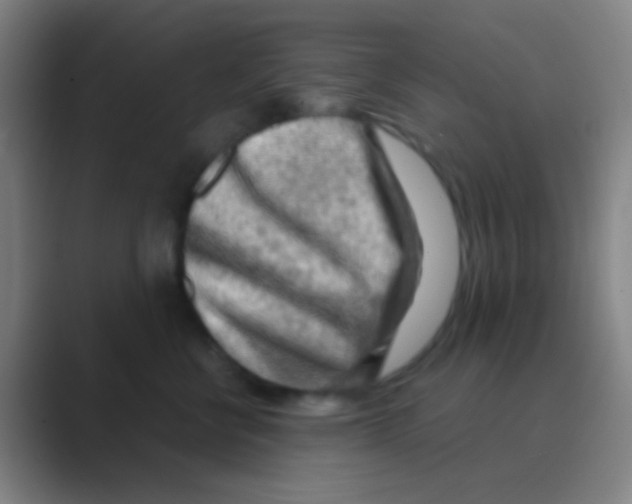 X0000088740570200706282147
