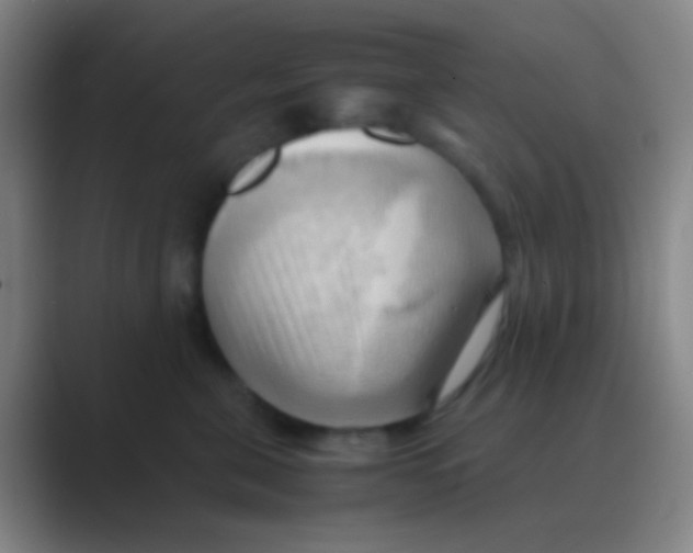 X0000088740571200706282147