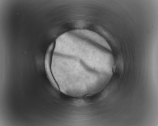 X0000088740572200706282147