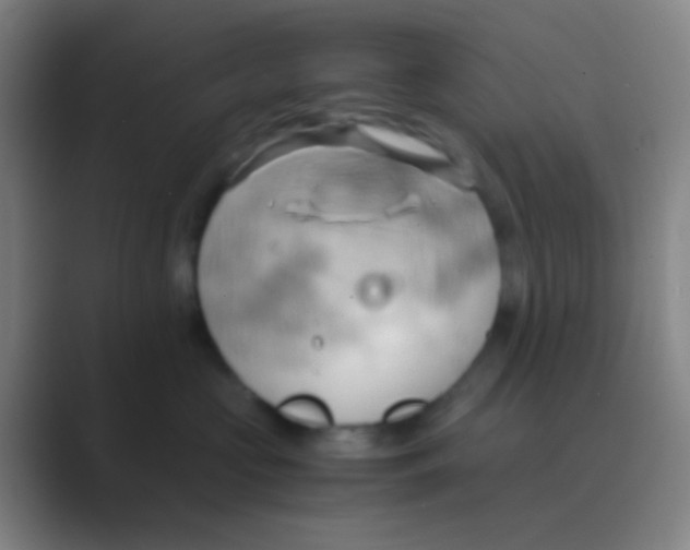 X0000088740573200706282147