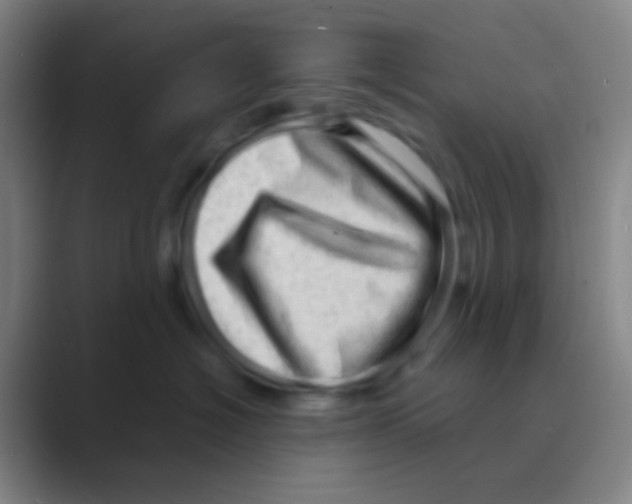 X0000088740574200706282147