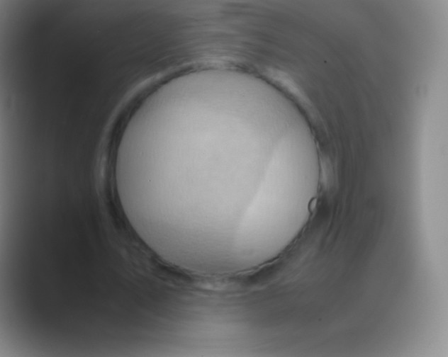 X0000088740579200706282146