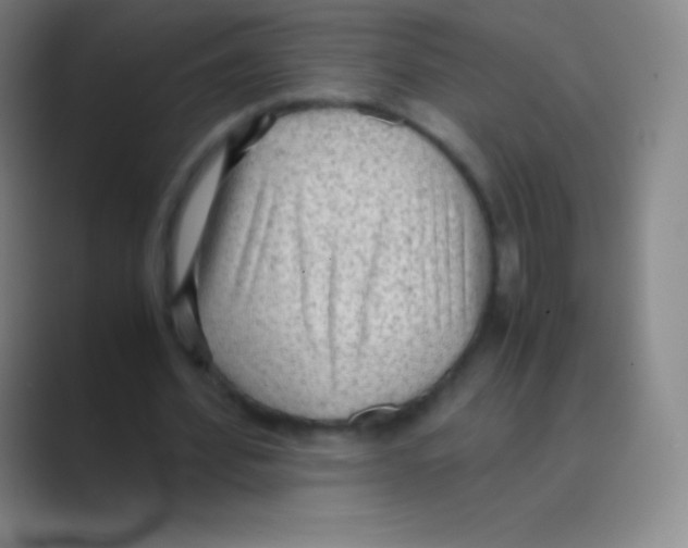 X0000088740580200706282146