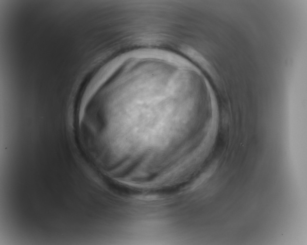 X0000088740581200706282146