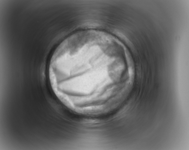 X0000088740582200706282146