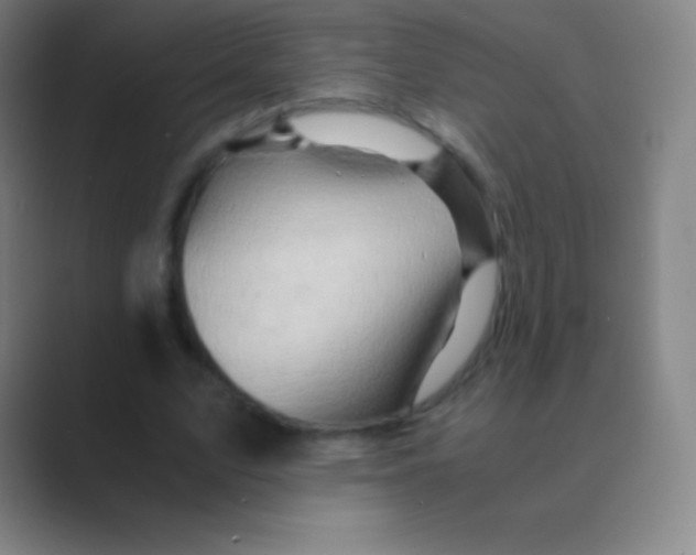X0000088740583200706282146