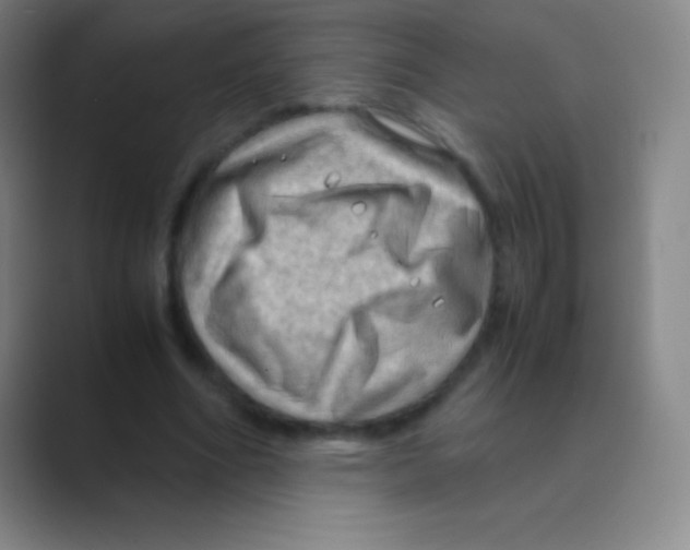 X0000088740586200706282146