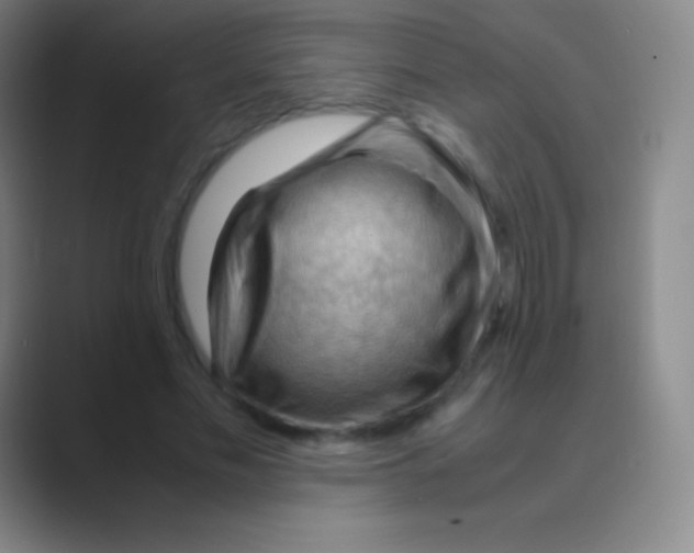 X0000088740589200706282146