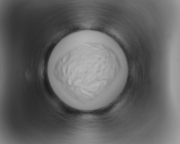 X0000088740590200706282146