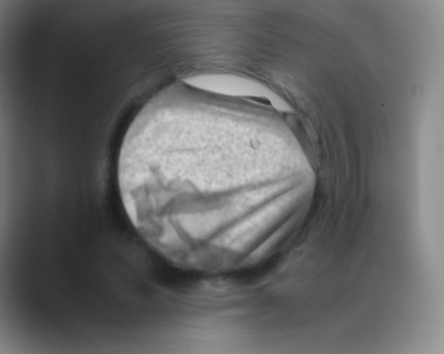 X0000088740591200706282146