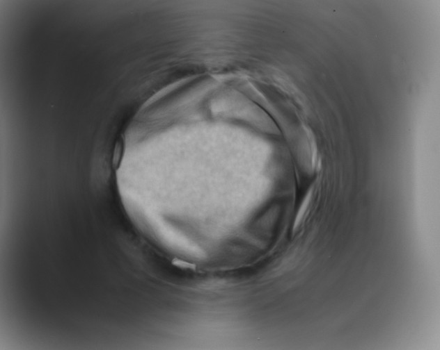X0000088740593200706282146