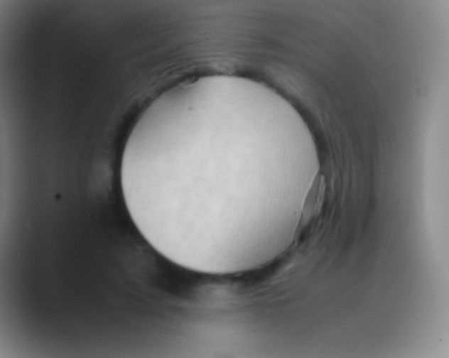 X0000088740595200706282146