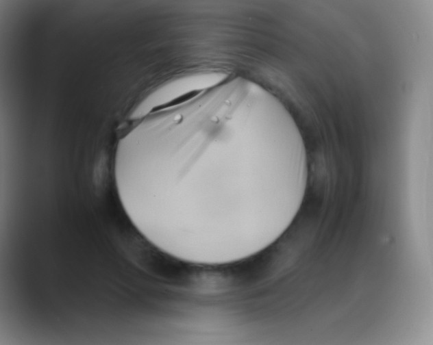 X0000088740598200706282146