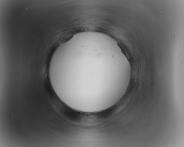 X0000088740599200706282146