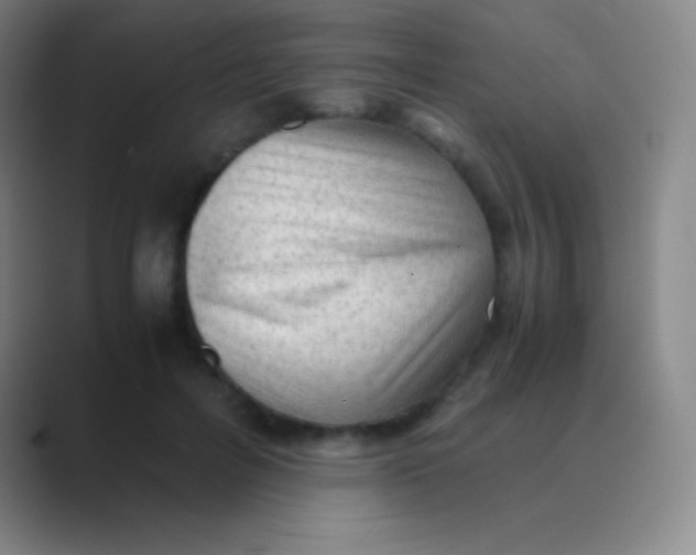 X0000088740600200706282146